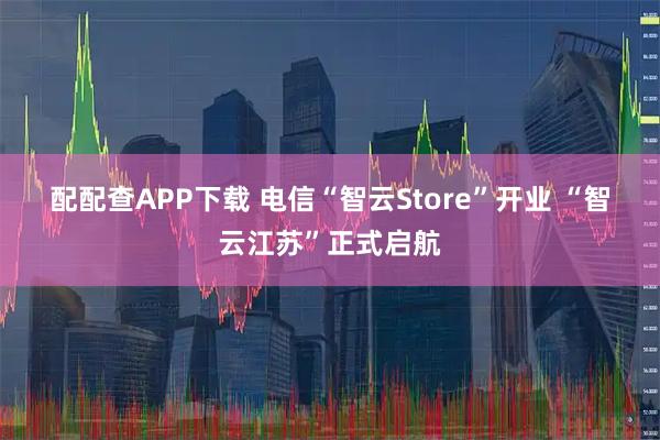 配配查APP下载 电信“智云Store”开业 “智云江苏”正式启航