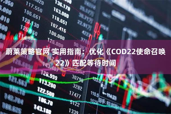 蔚莱策略官网 实用指南：优化《COD22使命召唤22》匹配等待时间