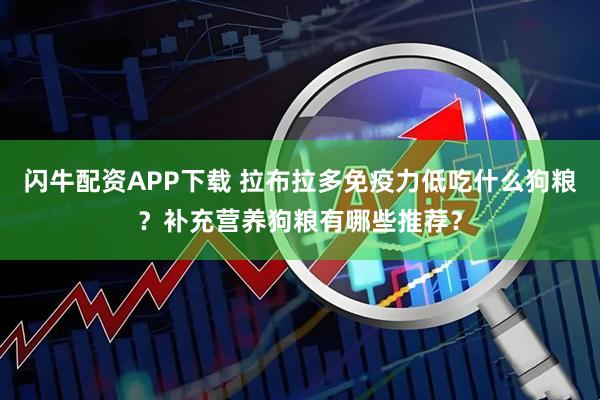 闪牛配资APP下载 拉布拉多免疫力低吃什么狗粮？补充营养狗粮有哪些推荐？