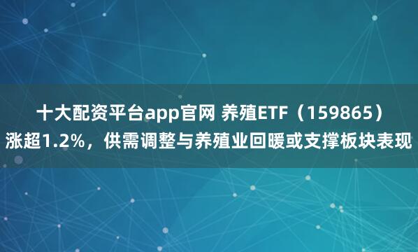 十大配资平台app官网 养殖ETF（159865）涨超1.2%，供需调整与养殖业回暖或支撑板块表现