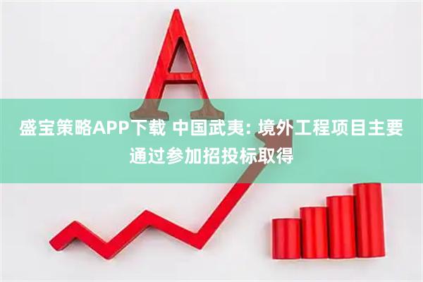 盛宝策略APP下载 中国武夷: 境外工程项目主要通过参加招投标取得